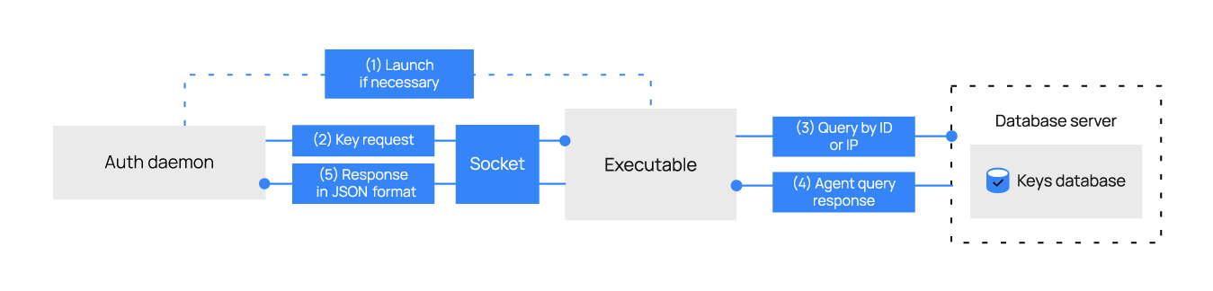 Method with socket: requests directly to the socket